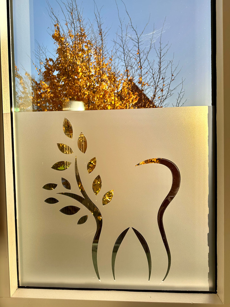 Tandarts Hoogvliet Rotterdam